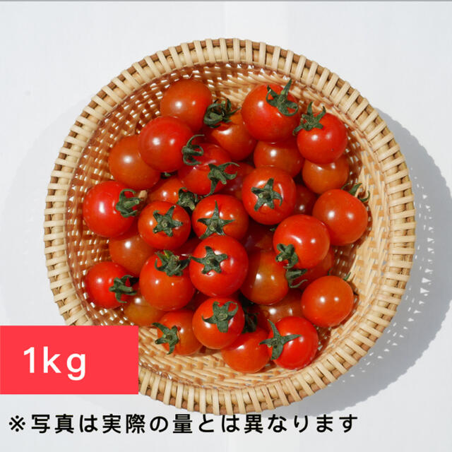 ミニトマト 1kg  [農学博士のDr.トマト] 採れたて☘️産地直送いたします 食品/飲料/酒の食品(野菜)の商品写真