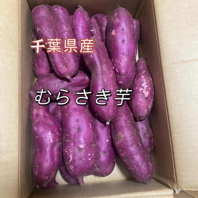 むらさき芋　千葉県産　箱含む5kg   さつまいも 食品/飲料/酒の食品(野菜)の商品写真