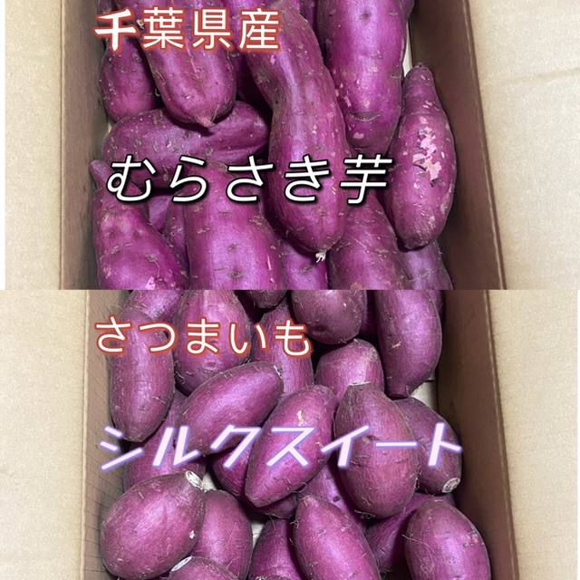 むらさき芋 、シルクスイート  食品/飲料/酒の食品(野菜)の商品写真