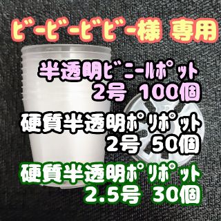 半透明ビニールポット 2号 6cm 100個他プラ鉢ポリポット多肉植物プレステラ(プランター)