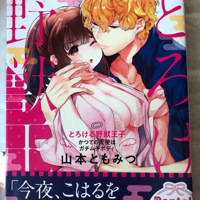 とろける野獣王子 かつての天使はガチムチボディ エンタメ/ホビーの漫画(その他)の商品写真