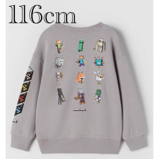 ザラキッズ(ZARA KIDS)の新品　マインクラフト　トレーナー　スウェットシャツ　6歳　116cm(Tシャツ/カットソー)