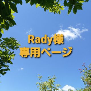 Rady様専用ページ(その他)