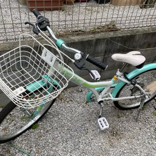 自転車　あさひ購入　2019/5 PECHE 22型(自転車本体)