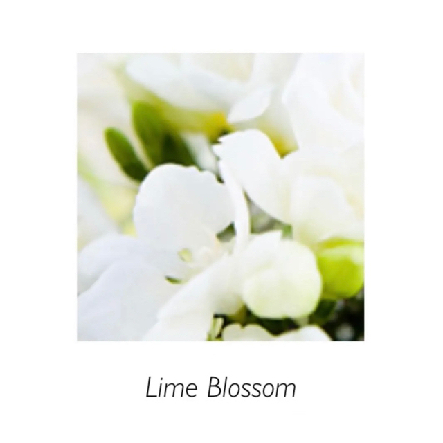 ✳︎✳︎Lime Blossom ライムブロッサム13ml ✳︎✳︎プロリテック コスメ/美容のリラクゼーション(アロマオイル)の商品写真