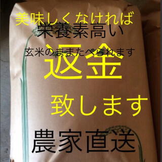 新米　無農薬　純こしひかり10㎏ 玄米(米/穀物)