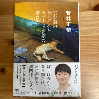 表参道のセレブ犬とカバーニャ要塞の野良犬(その他)