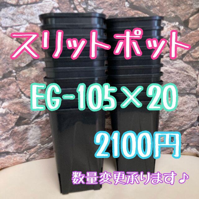 ◎20個◎ロング スリットポット EG-105L slitpot プラ鉢 ハンドメイドのフラワー/ガーデン(プランター)の商品写真