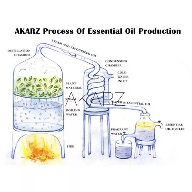 ベンゾイン　Benzoin 10ml 精油 アロマオイル エッセンシャルオイル コスメ/美容のリラクゼーション(アロマオイル)の商品写真