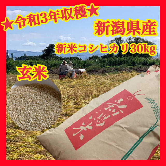 当社の ★送料無料★新潟県産新米コシヒカリ（玄米30kg） 米+穀物