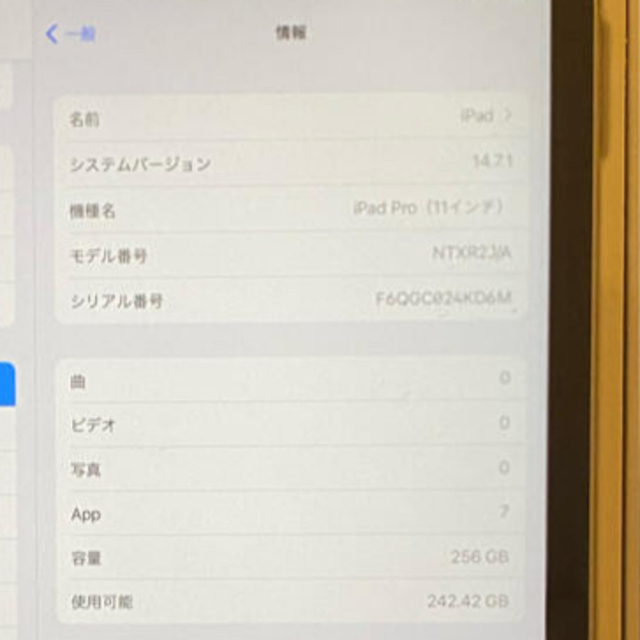 iPad pro 11第一世代256GBWi-Fiモデルpencil おまけ付き