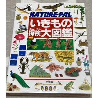 いきもの探検大図鑑 NATUREーPAL 大型本(絵本/児童書)