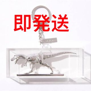 メディコムトイ(MEDICOM TOY)の空山基　HAJIME SORAYAMA × 2G TREX KEY CHAIN(その他)