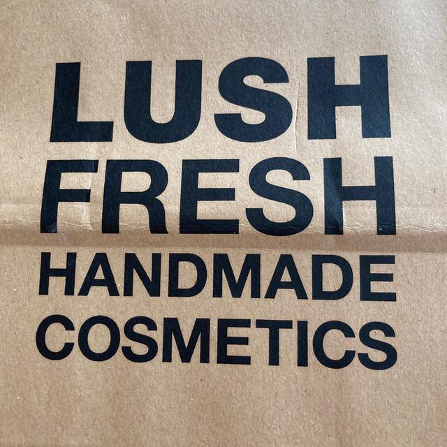 LUSH(ラッシュ)のLUSHラッシュ　紙袋2枚セット レディースのバッグ(ショップ袋)の商品写真