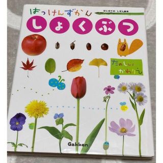 ガッケン(学研)のランラン様専用⭐︎しょくぶつ （はっけんずかん） 3～6歳児向け 図鑑(絵本/児童書)