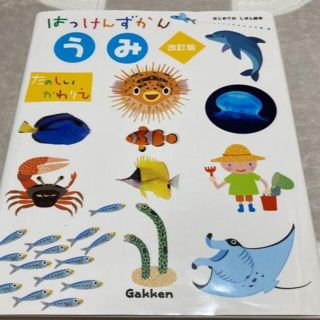 ガッケン(学研)のうみ （はっけんずかん） 3～6歳児向け 図鑑(絵本/児童書)