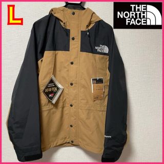 ザノースフェイス(THE NORTH FACE)のTHE NORTH FACE mountain light jacket(マウンテンパーカー)