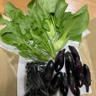 無農薬　野菜詰め合わせ(野菜)