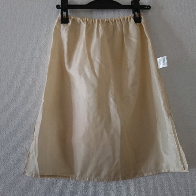 LIPSTAR(リップスター)のスカート リップスター レディースのスカート(ひざ丈スカート)の商品写真