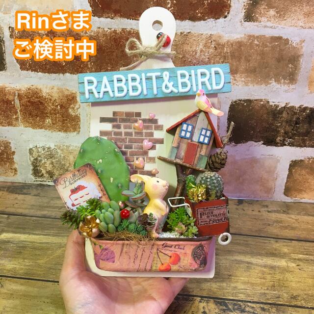 多肉植物の寄せ植え　壁掛けボード(RABBIT & BIRD) ハンドメイドのフラワー/ガーデン(その他)の商品写真