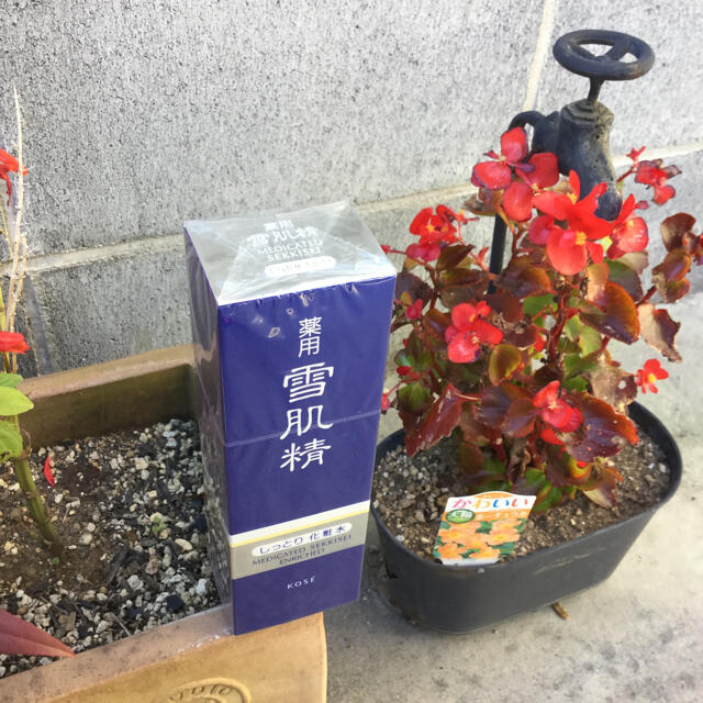 コーセー 薬用 雪肌精 エンリッチ（しっとり） 化粧水 ３６０ｍＬ