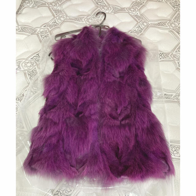 超安い品質 人気商品販売中 ⭐️極美品⭐️イブサロモンFoxジレ