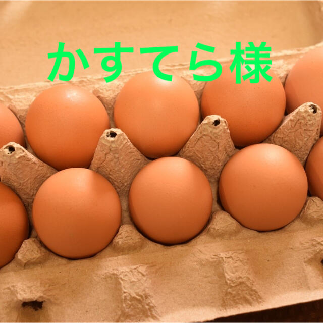 かすてら様専用　平飼いたまご30個 食品/飲料/酒の食品(野菜)の商品写真