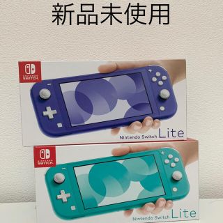 Fisshing Log様専用(携帯用ゲーム機本体)