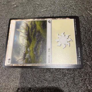 マジックザギャザリング(マジック：ザ・ギャザリング)のMTG基本土地4(シングルカード)