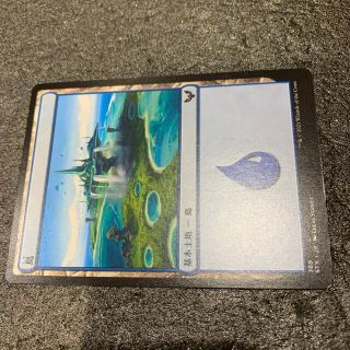 マジックザギャザリング(マジック：ザ・ギャザリング)のMTG基本土地8(シングルカード)