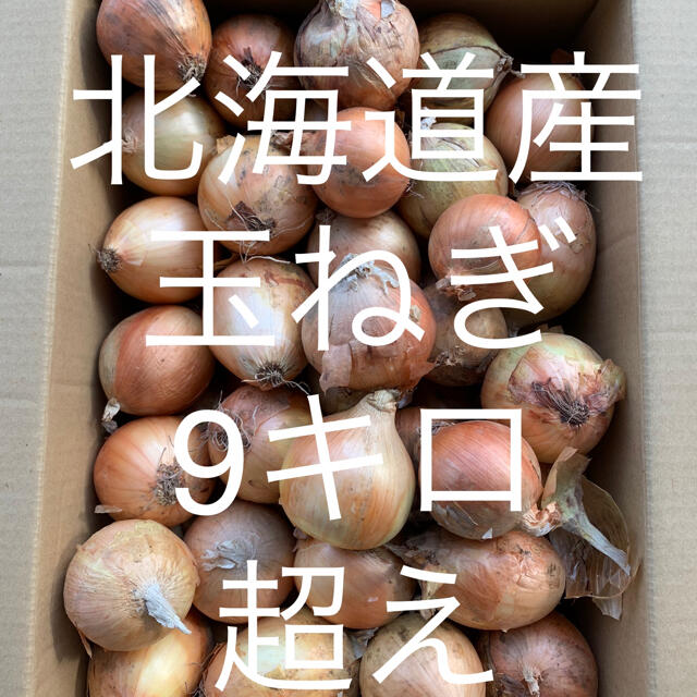 北海道産玉ねぎ　9キロ 食品/飲料/酒の食品(野菜)の商品写真