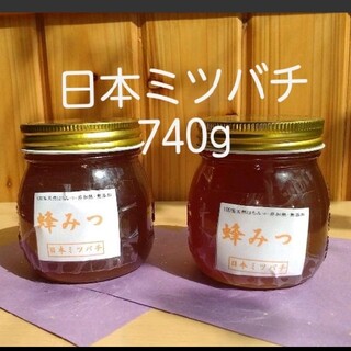 日本ミツバチの蜂蜜 740g   370g×2本   （愛媛県産）(その他)