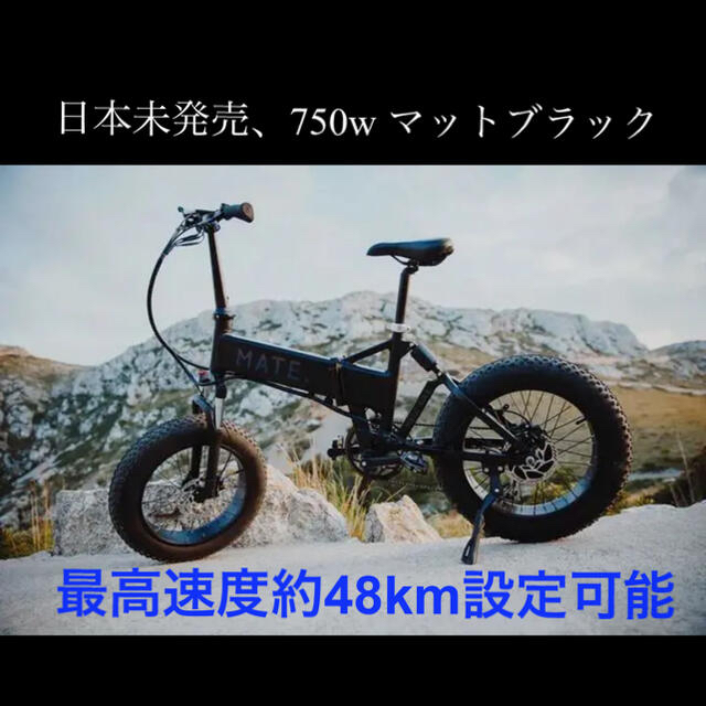 日本未発売品　MATE X 750W