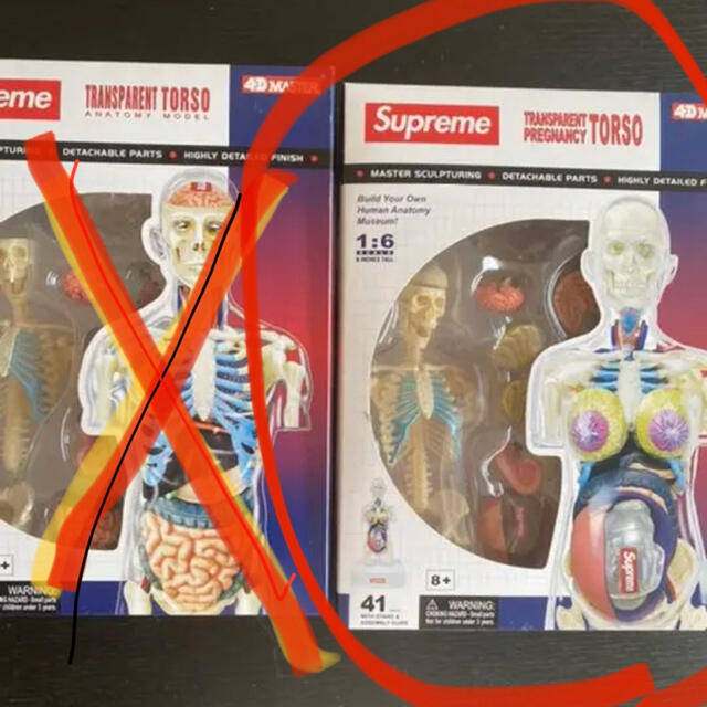 supreme 人体模型 女性のみ - その他