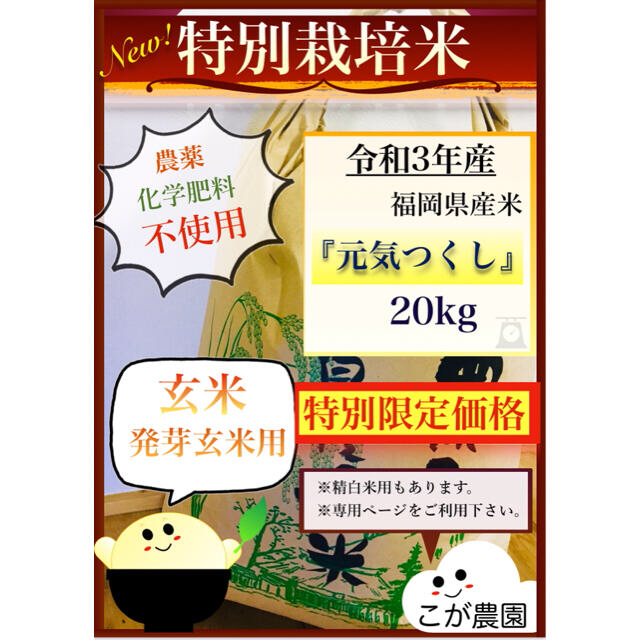 食品特別栽培米　福岡県産米『元気つくし』　20kg 【玄米専用】令和3年産　新米