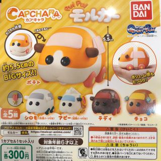 バンダイ(BANDAI)のPUIPUIモルカー カプキャラ ガチャガチャ(キャラクターグッズ)