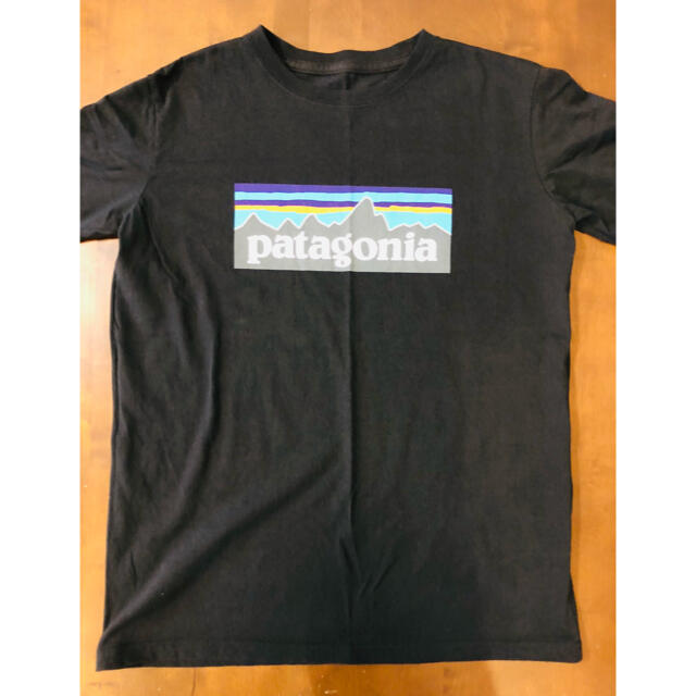 patagonia(パタゴニア)の専用です パタゴニア Tシャツ レディースのトップス(Tシャツ(半袖/袖なし))の商品写真