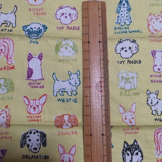 犬　わんちゃん　図鑑　生地　オックス　いっぱい　イエロー　レモン　55×25 ハンドメイドの素材/材料(生地/糸)の商品写真