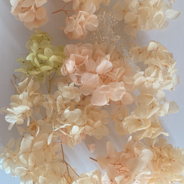最安値!ふんわり優しいアンティークカラー☆プリザーブド 紫陽花ミックス!の通販 by Rose bud プリザーブドフラワー アナベルアジサイ 20g前後 ベージュミックス