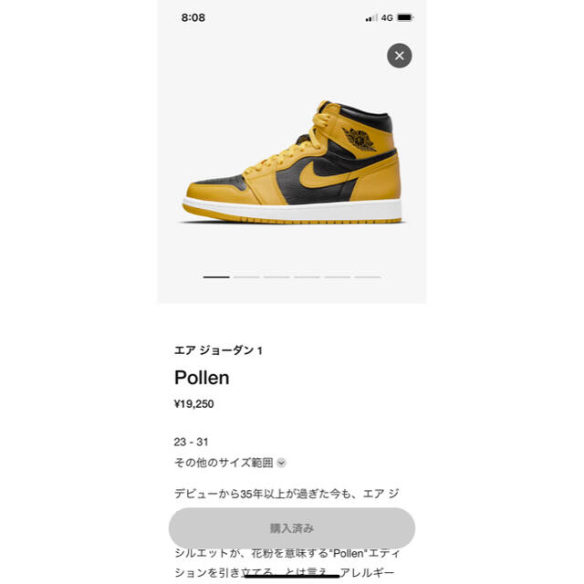 Nike エアジョーダン1 Pollen(26cm)