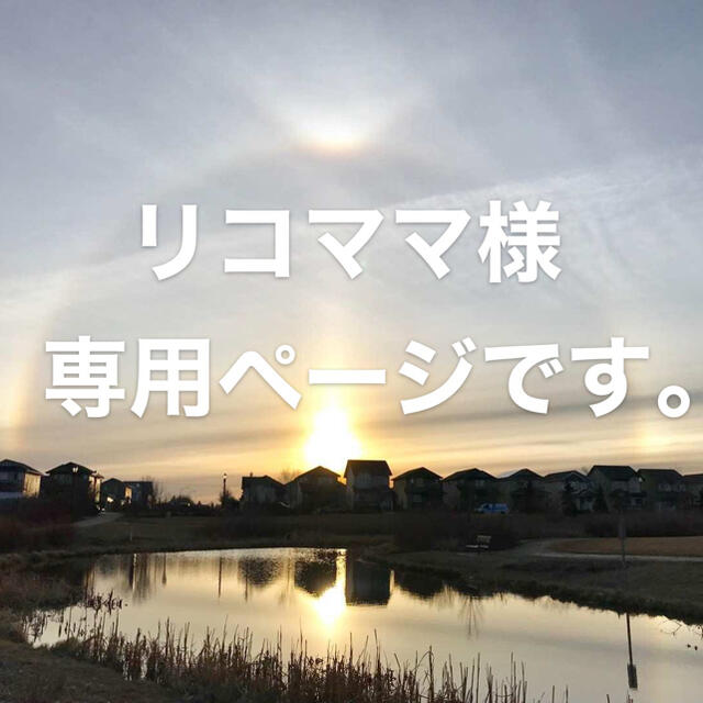 リコママ様専用ページです。の通販 by 志新村's shop|ラクマ