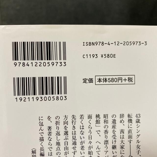 花桃実桃 エンタメ/ホビーの本(文学/小説)の商品写真