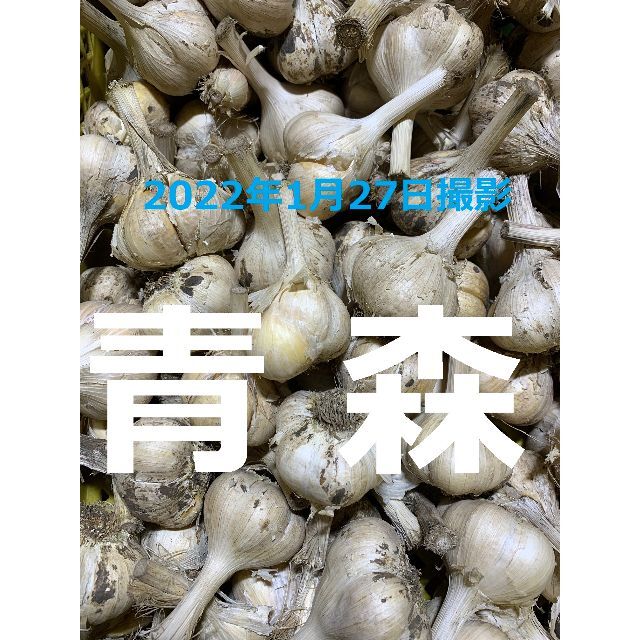 青森県産にんにく１０ｋｇ M ニンニク１０キロ 福地ホワイト６片種 訳あり①