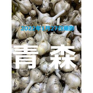 青森県産にんにく１０ｋｇ M ニンニク１０キロ 福地ホワイト６片種 訳あり①(野菜)