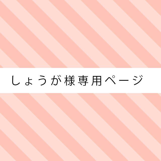 ☆しょうが様専用ページ☆ レディースのアクセサリー(ピアス)の商品写真