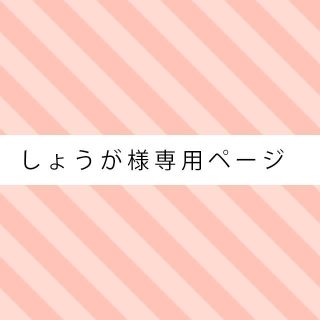 ☆しょうが様専用ページ☆(ピアス)