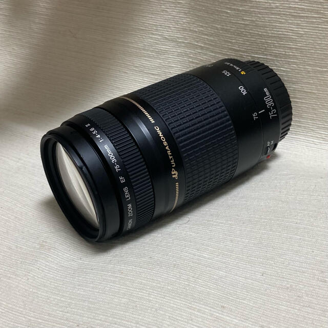 Canon EF75-300mm 1:4-5.6 II USM