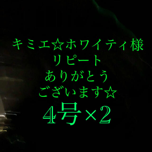 さびき 仕掛け針 2枚セット◉4号×2点 他より太く丈夫な糸 最安値  スポーツ/アウトドアのフィッシング(釣り糸/ライン)の商品写真