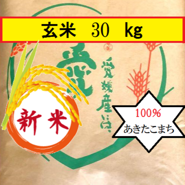 最新コレックション お米 令和3年 愛媛県産あきたこまち 玄米 30kg 米/穀物