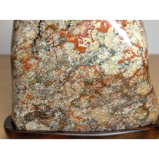 津軽・花紋石 546g 錦石 碧玉 ジャスパー 原石 鑑賞石 自然石 水石 津軽・花紋石 546g 錦石 碧玉 ジャスパー 原石 鑑賞石 自然石 水石